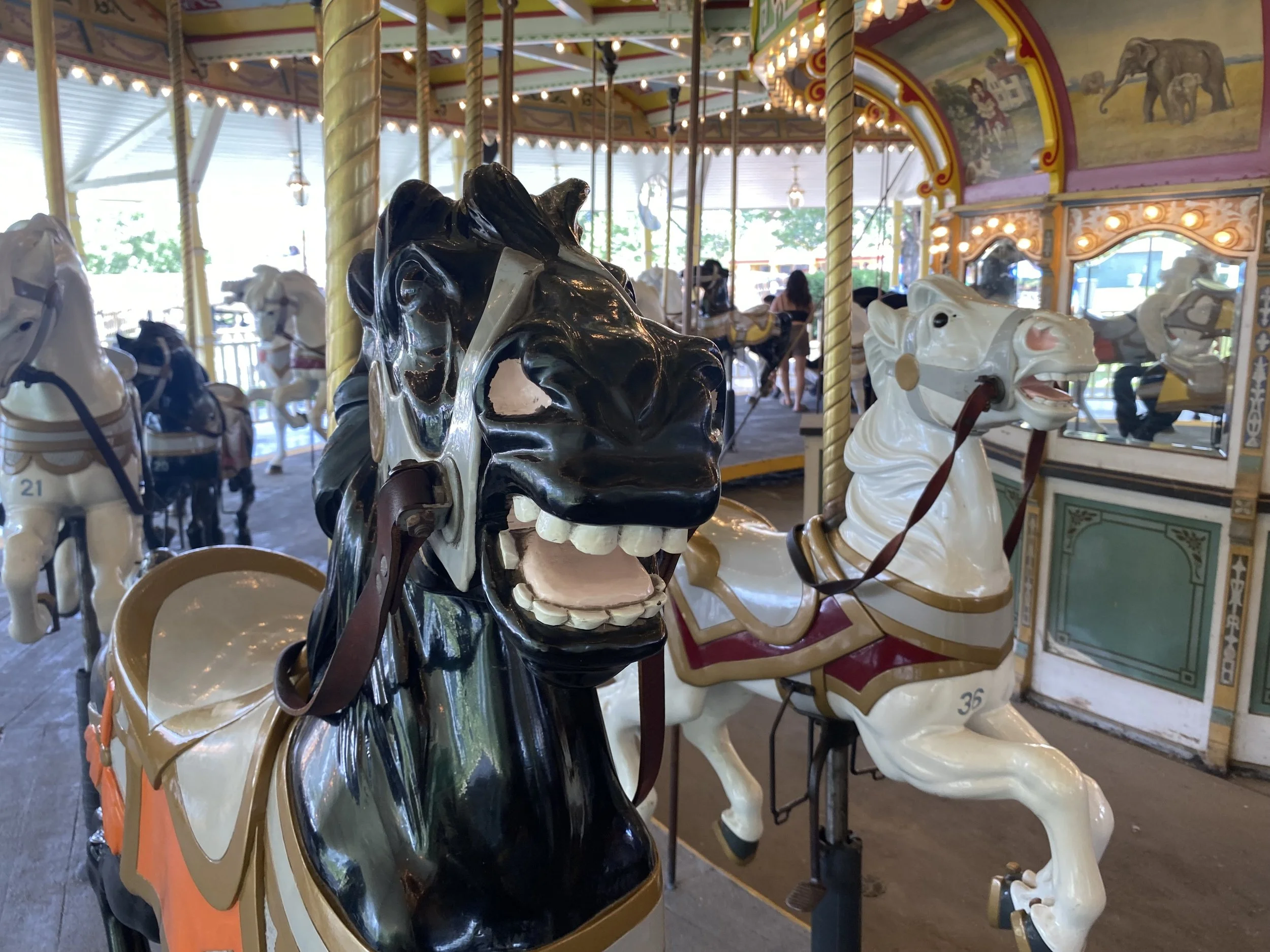 Carousel.jpg