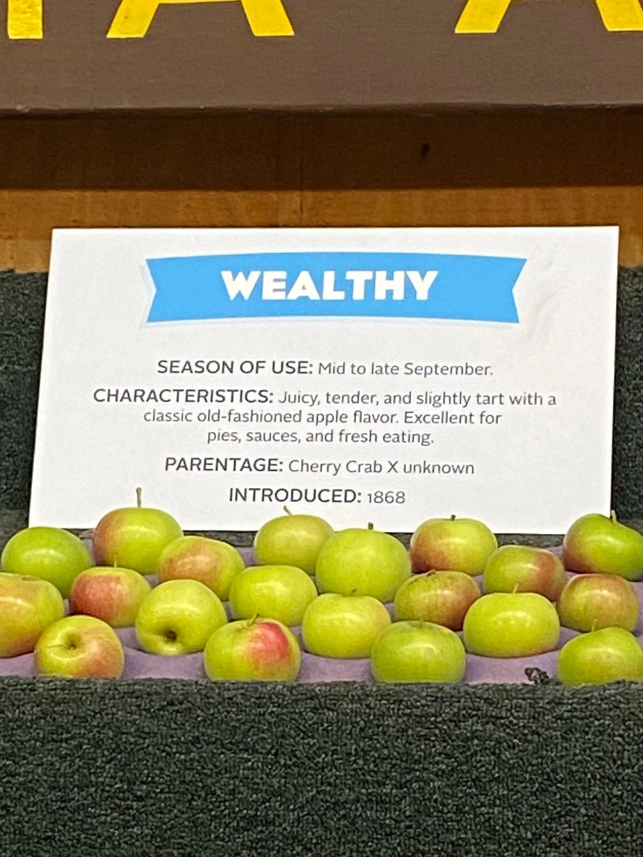 Peter Gideon &amp; the Wealthy Apple