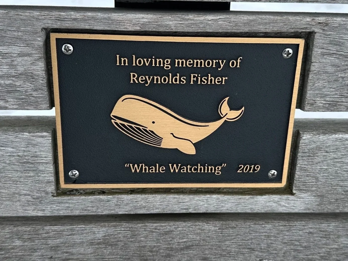 Reflections of Excelsior Commons