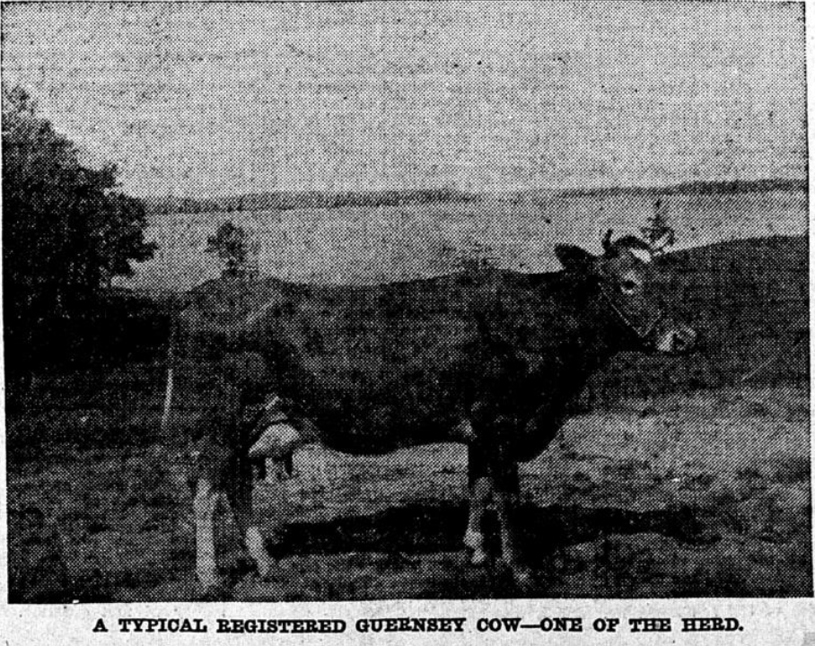 Screenshot 2026-01-12 at 10.04.32 PM.png