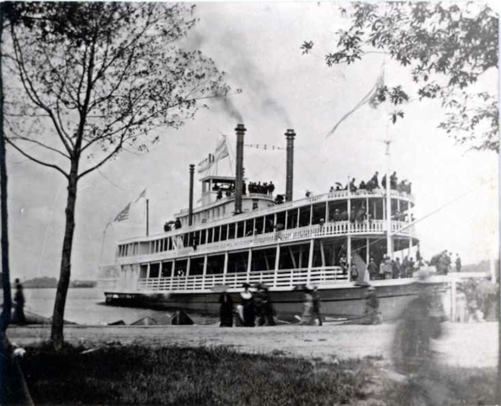  LMHS digital archive 