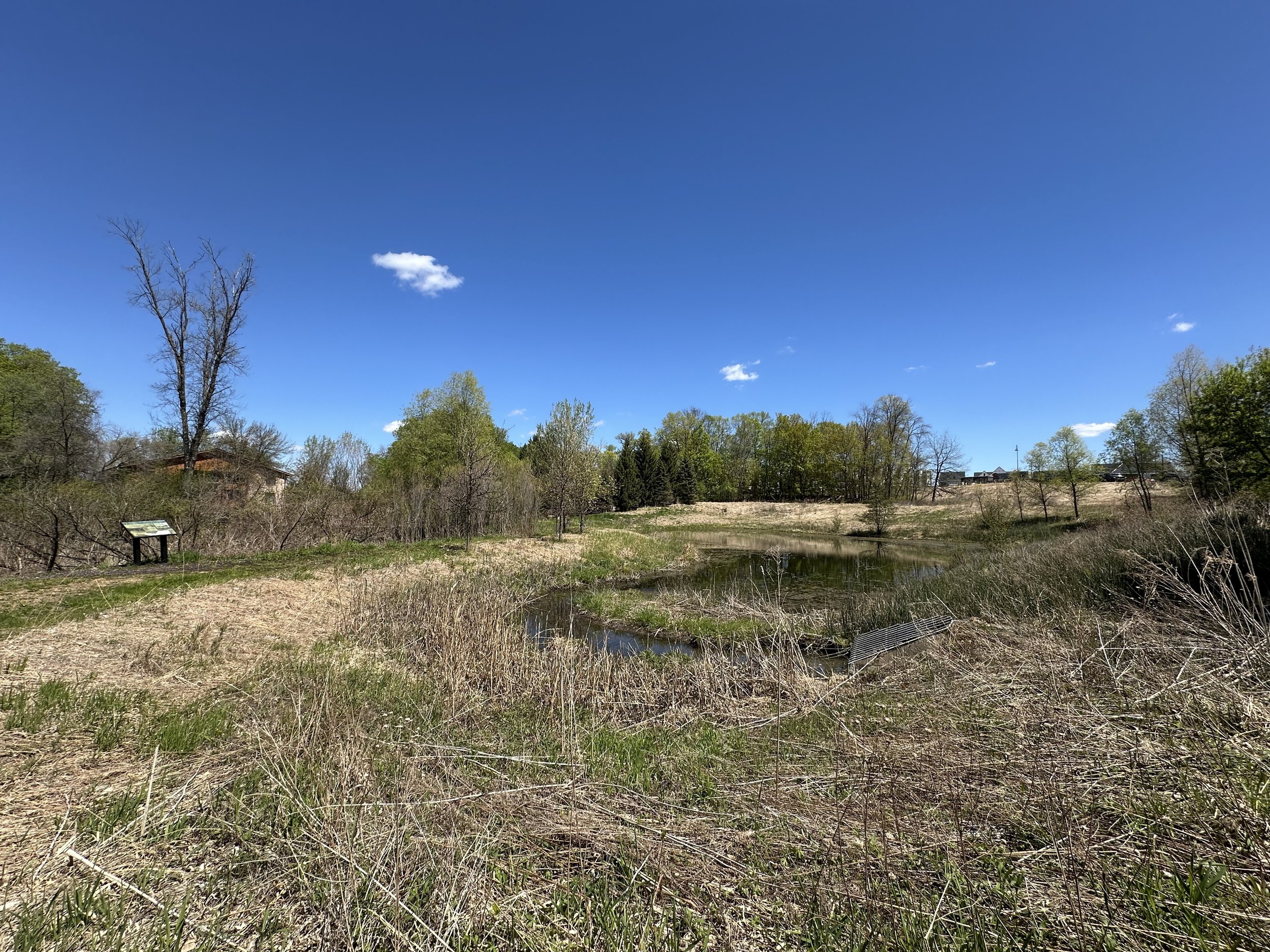Gideon Glen Nature 4.jpg