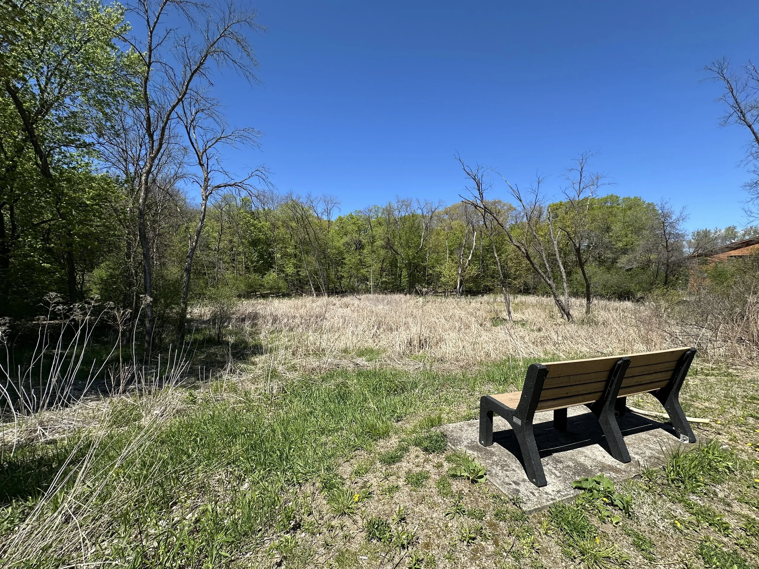 Gideon Glen Nature 3.jpg