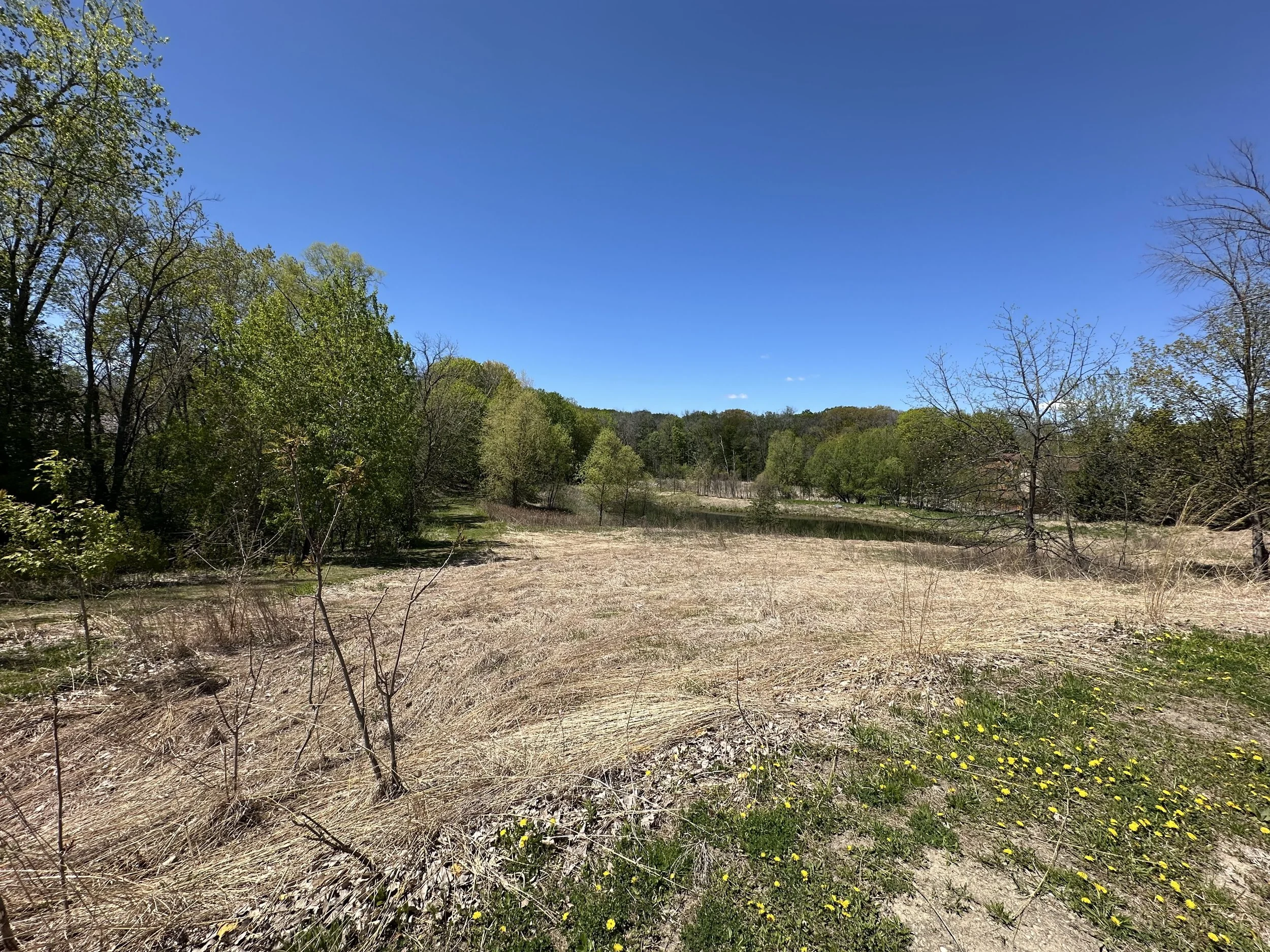 Gideon Glen Nature 7.jpg