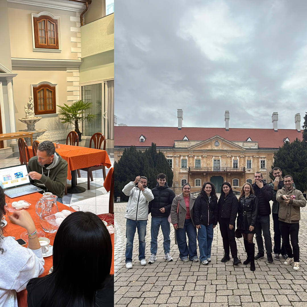 ART MIND CONNECT: Preparatory Visit