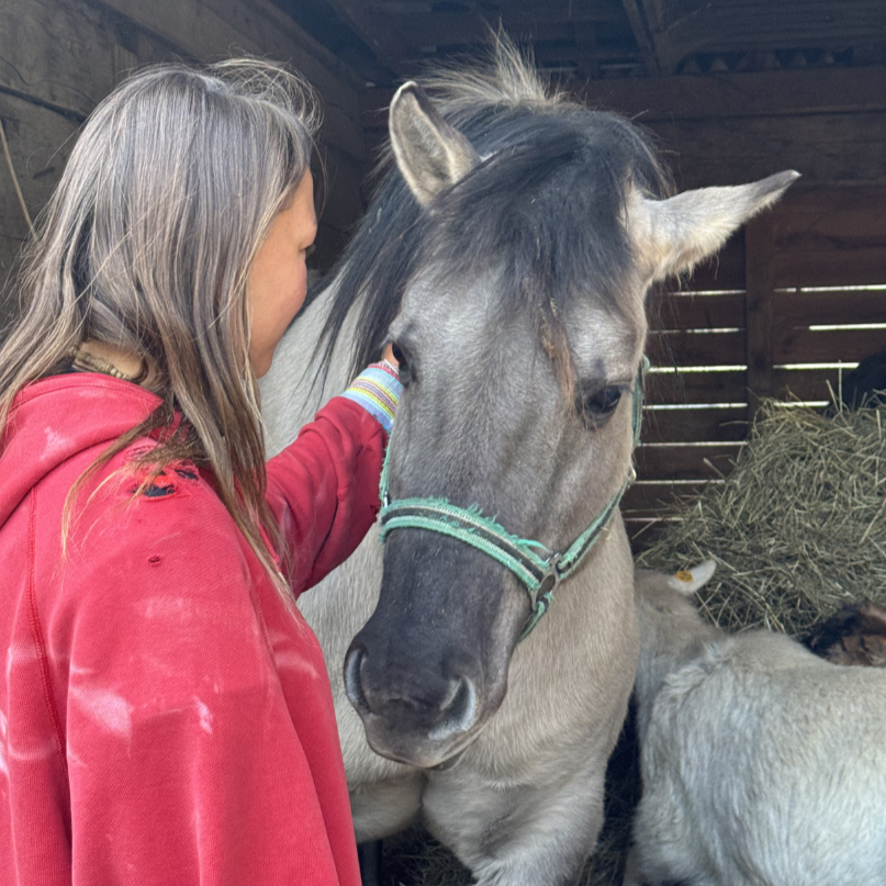 FARM NOT HARM: Preparatory Visit 