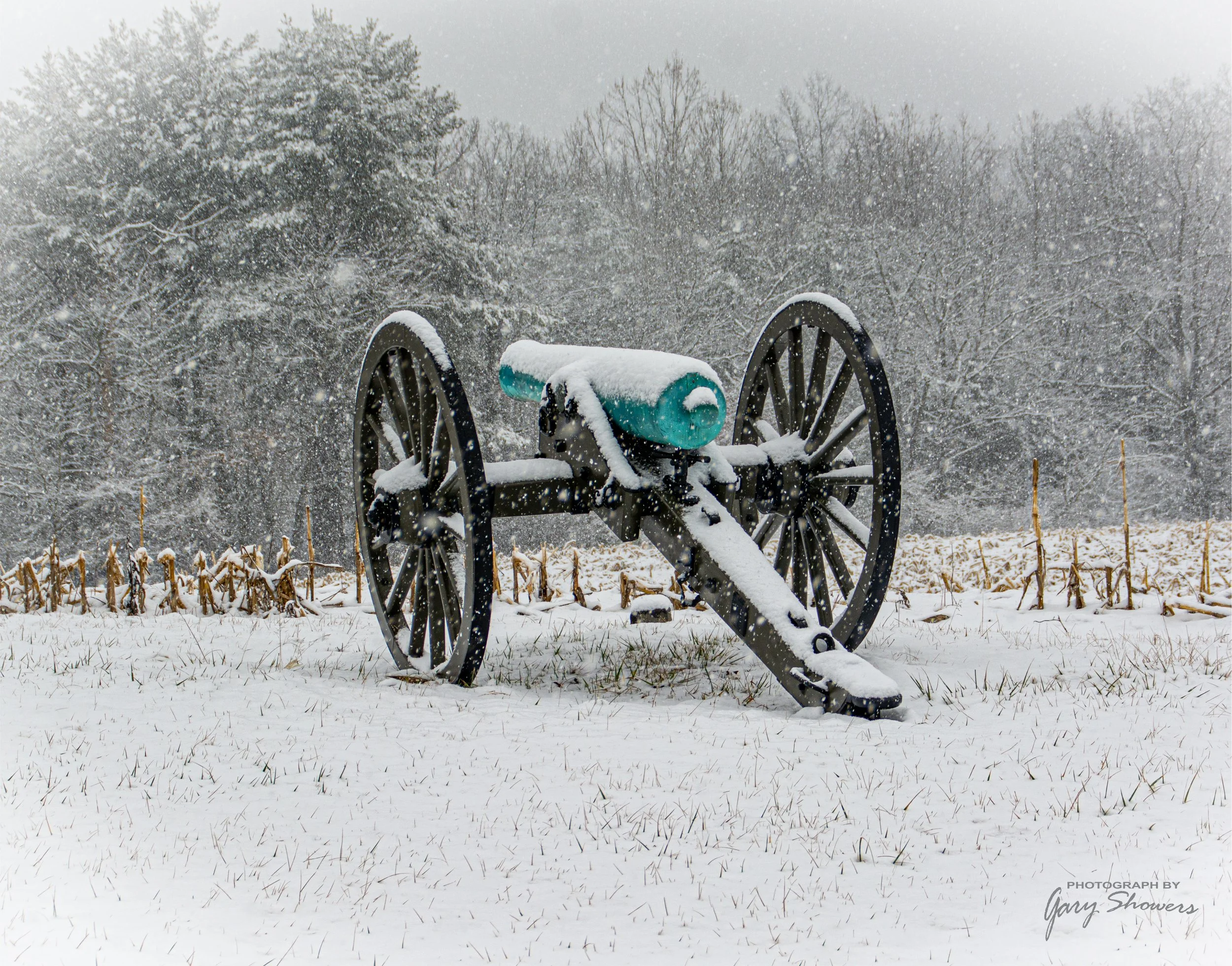 Cannon canvas print winter 11x14