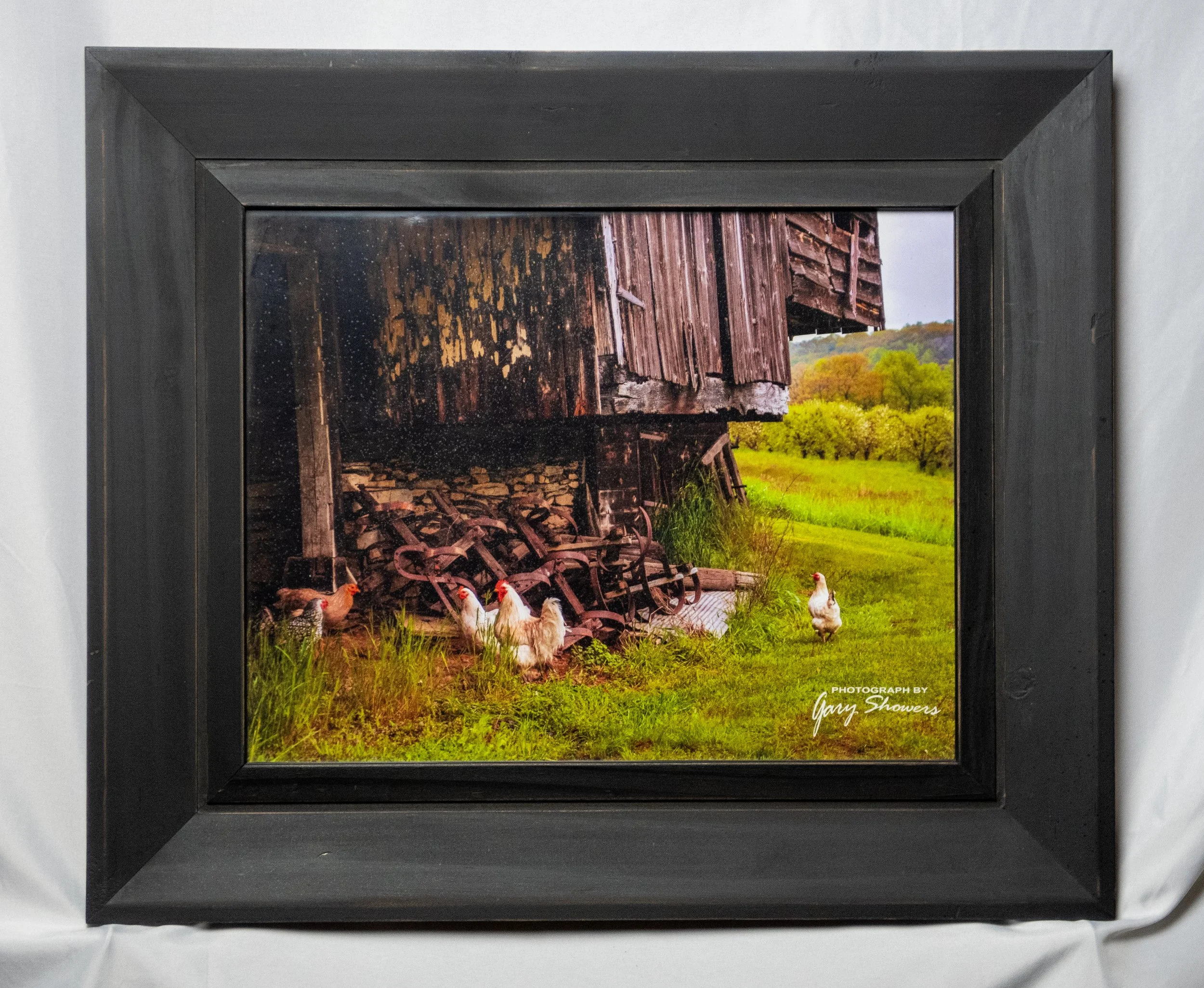 Beautiful chickens in the barn yard print in magnificent black frame