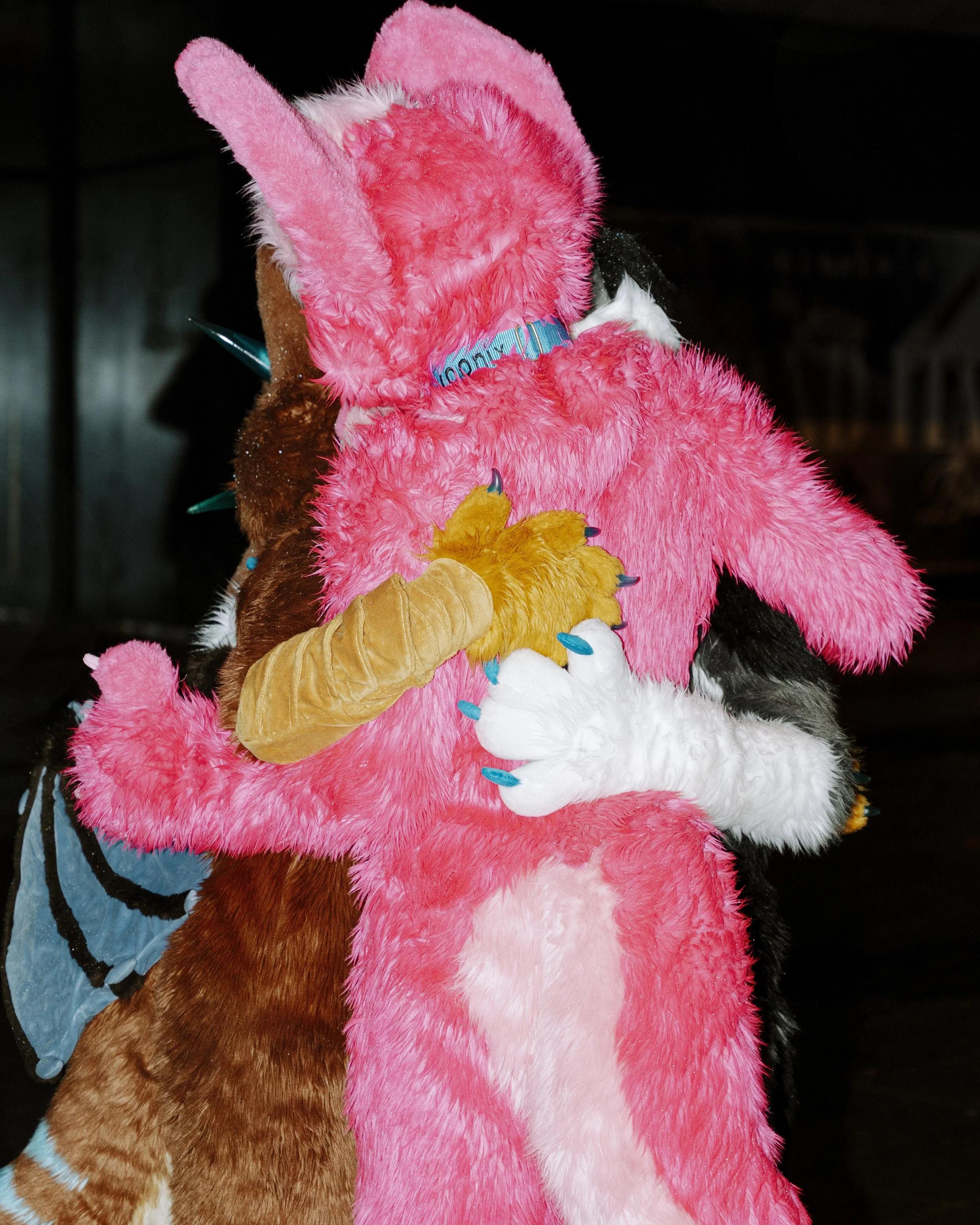 Furry's
