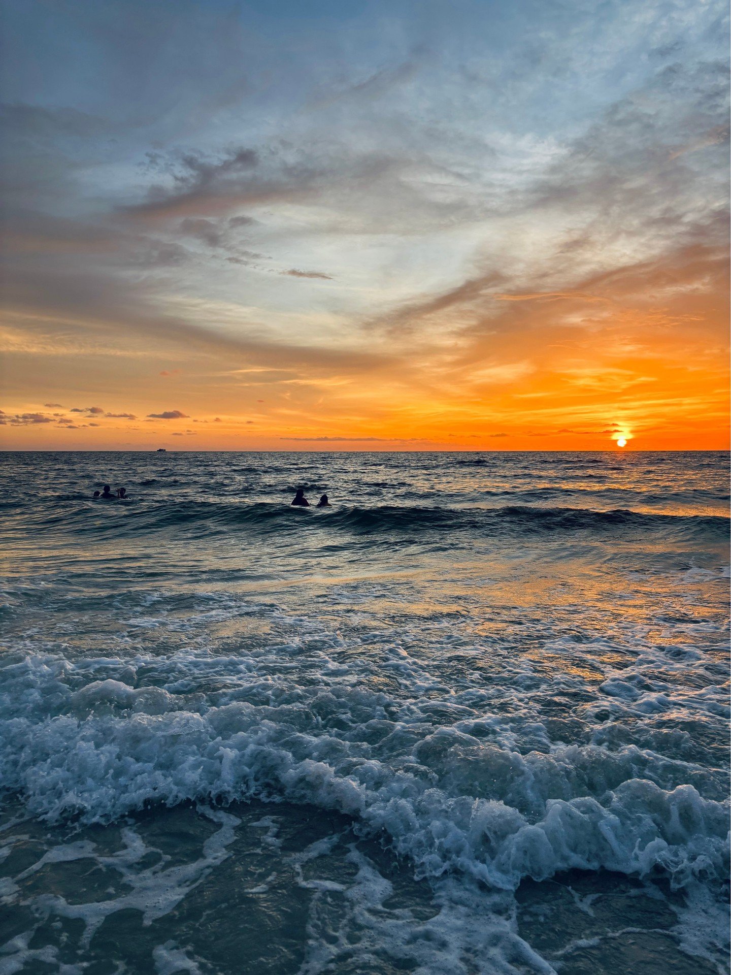 From San Francisco to Gainesville&mdash;and EVERYWHERE in between&mdash;this past Thanksgiving week reminded AMC just how grateful we are for the places that ground our work and inspire our team. 🏙️🌿🏞️
.
.
We hope your Thanksgiving was full of gra