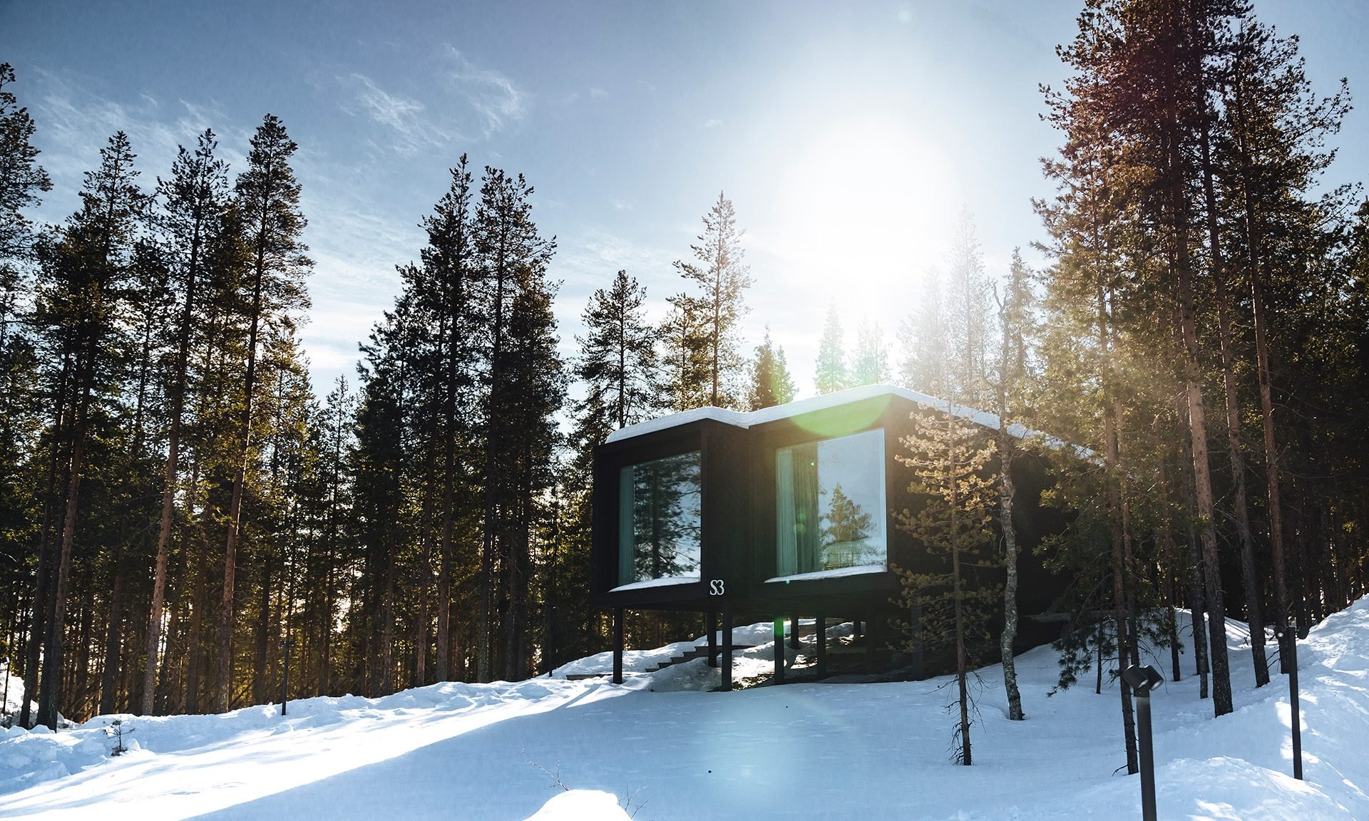 Modern black house with large windows on snow-covered ground, surrounded by tall pine trees, under bright sunlight and blue sky.