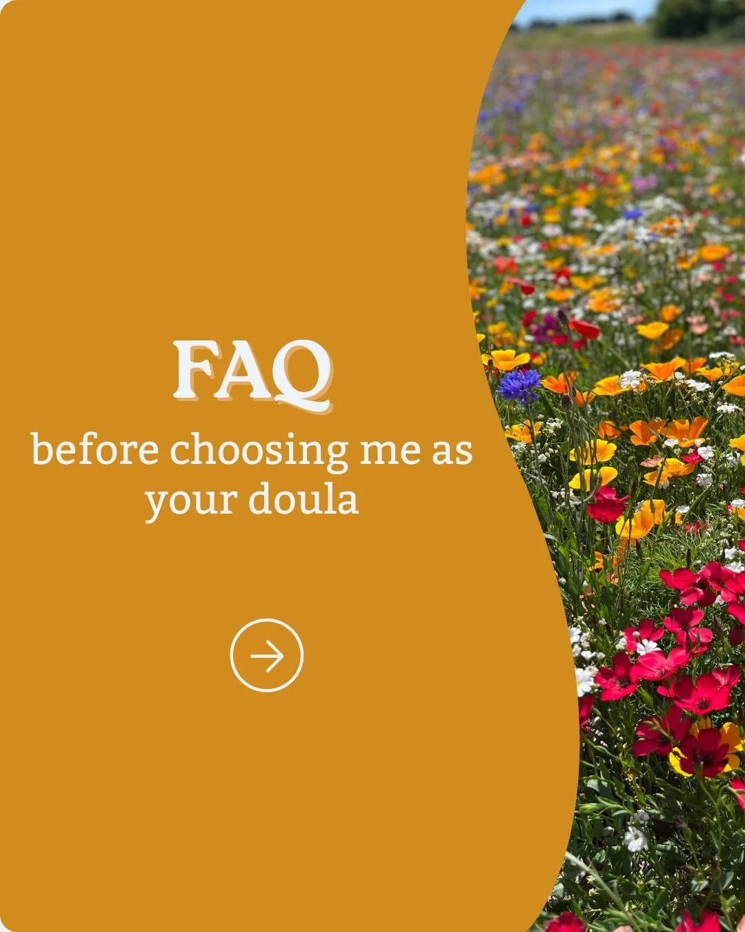 Swipe through, and if you still have a question I haven't covered, my inbox is always open. There's no such thing as a silly question when it comes to your birth and your family and I am one message, email or call away.

Whenever you're ready, a free