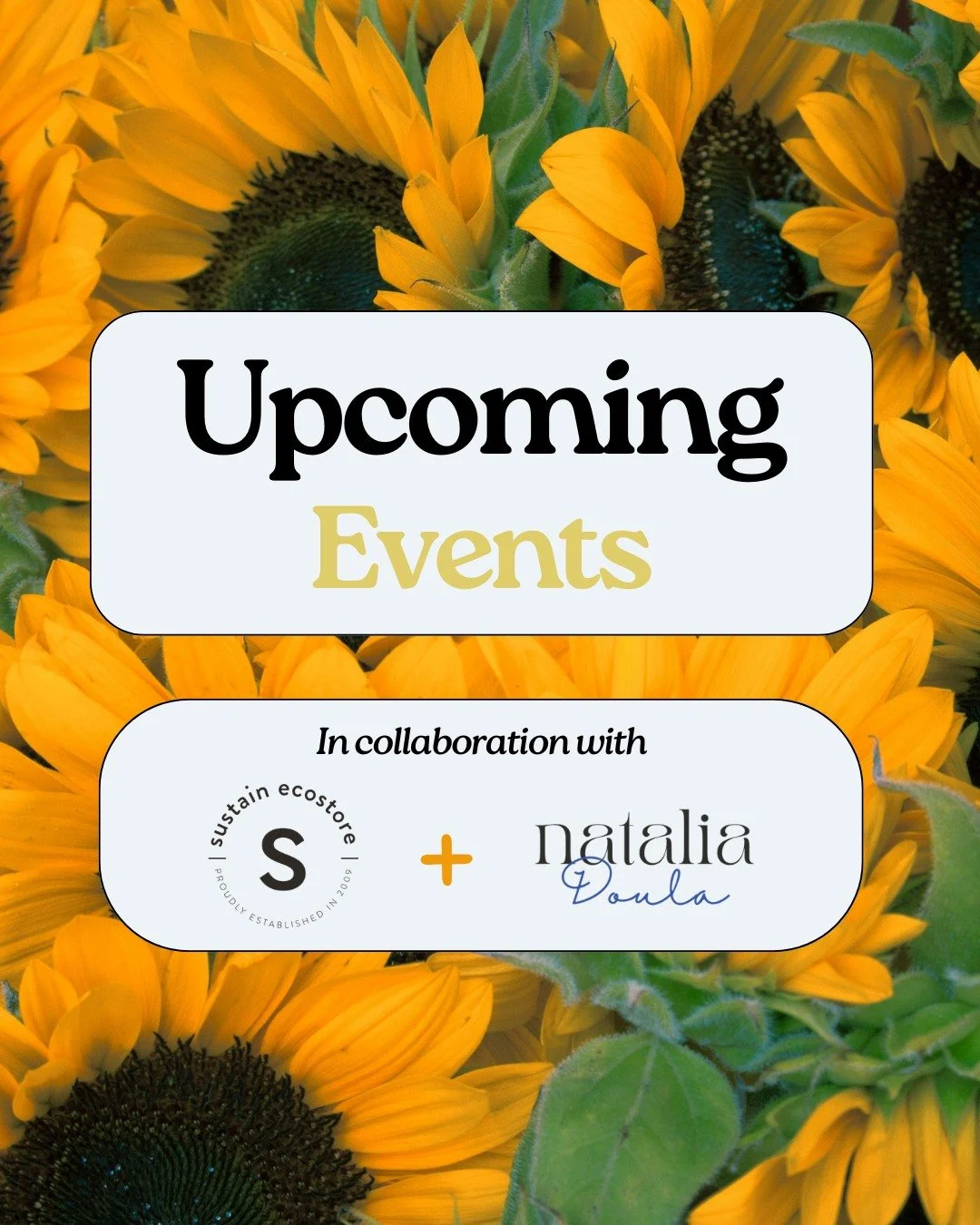 This summer I'm hosting a series of gatherings for mothers and mothers-to-be: an invitation to slow down and feel held, and a prenatal class to prepare for birth feeling grounded and informed. 

All held in the warm, welcoming space at @sustainecosto