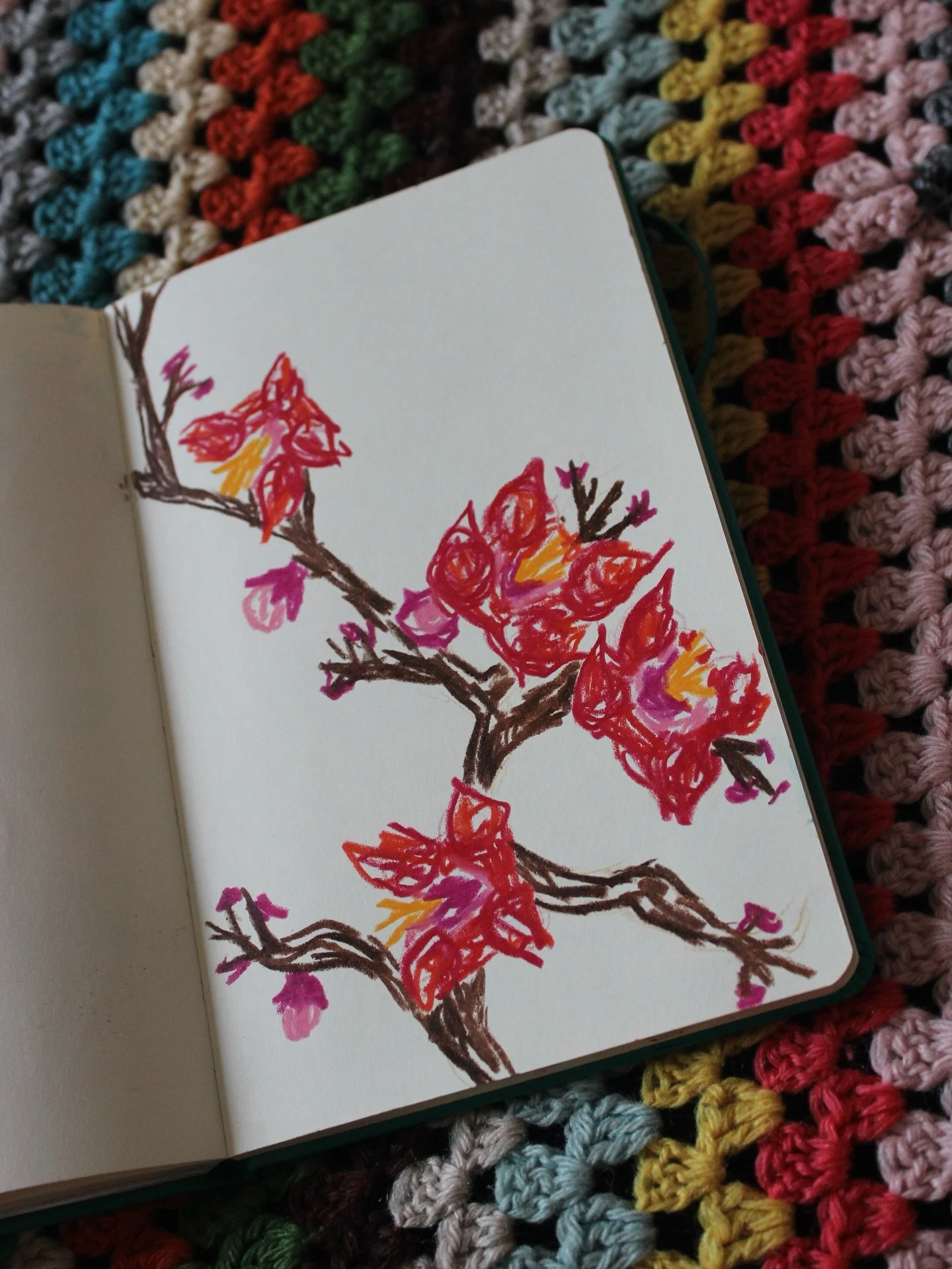 Like most of us, I have too many photos in my camera roll. 
I have decided I will draw them at random so I can delete them. 🌺

This is the first of many. 

Apparently this is a Plum Blossom, I think it&rsquo;s quite pretty. I just guessed what it wo