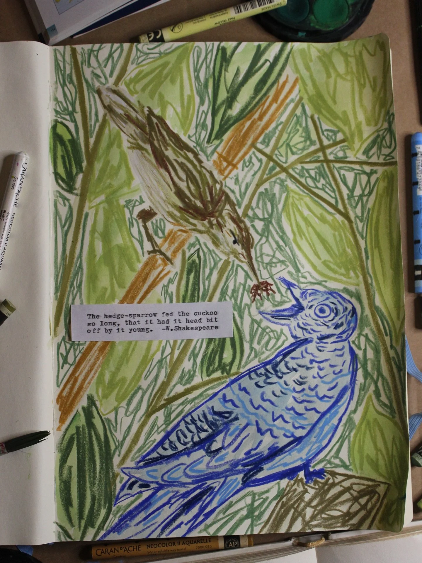 A piece in depth - February:

&lsquo;The hedge-sparrow fed the cuckoo so long, that it had it head bit off by it young.&rsquo; - Ole&rsquo; Shakey

With neocolours, watercolour and my typewriter :)

Birds are just the best. They make me so happy and 