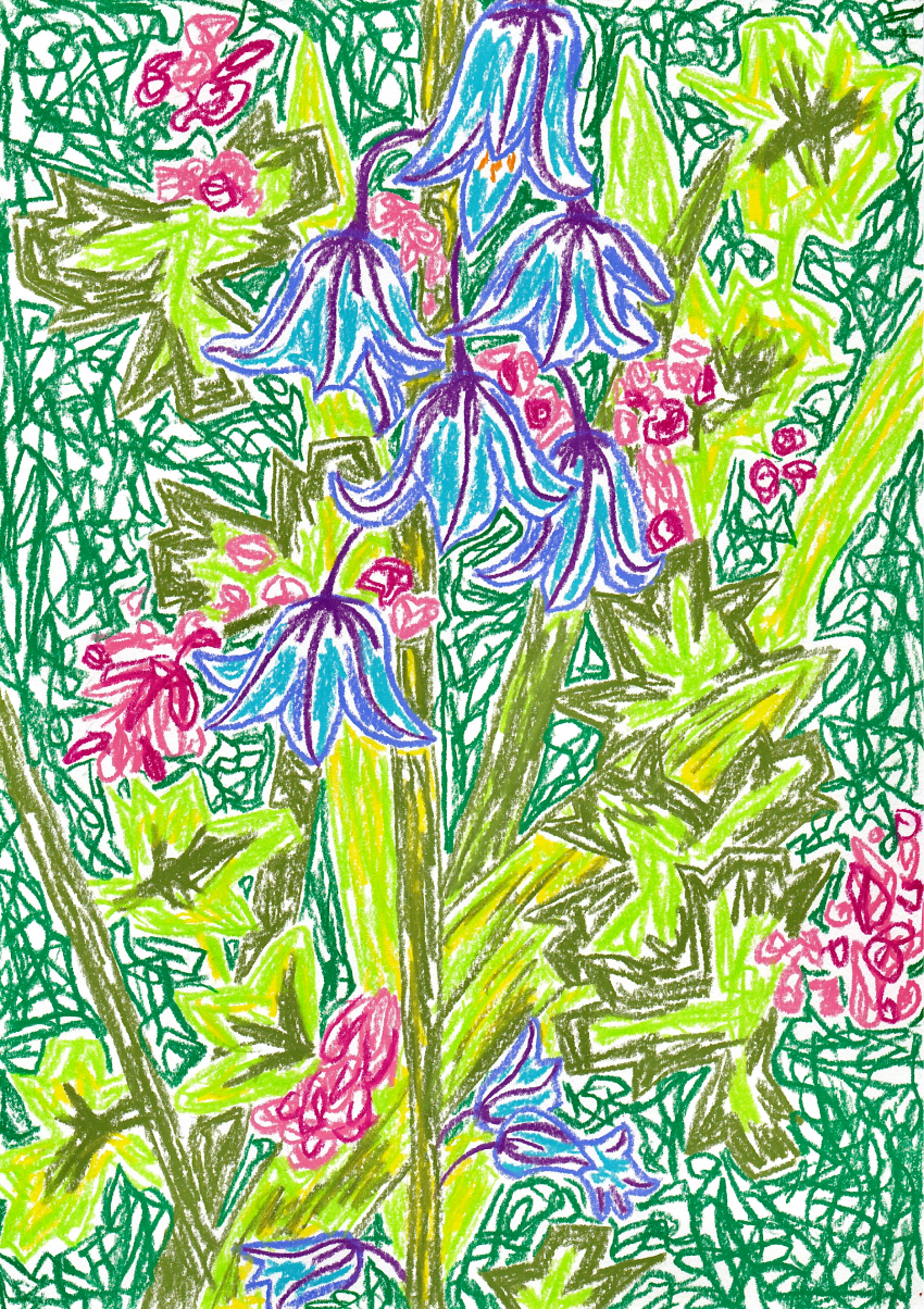 Spanish Bluebells - Wax pastel