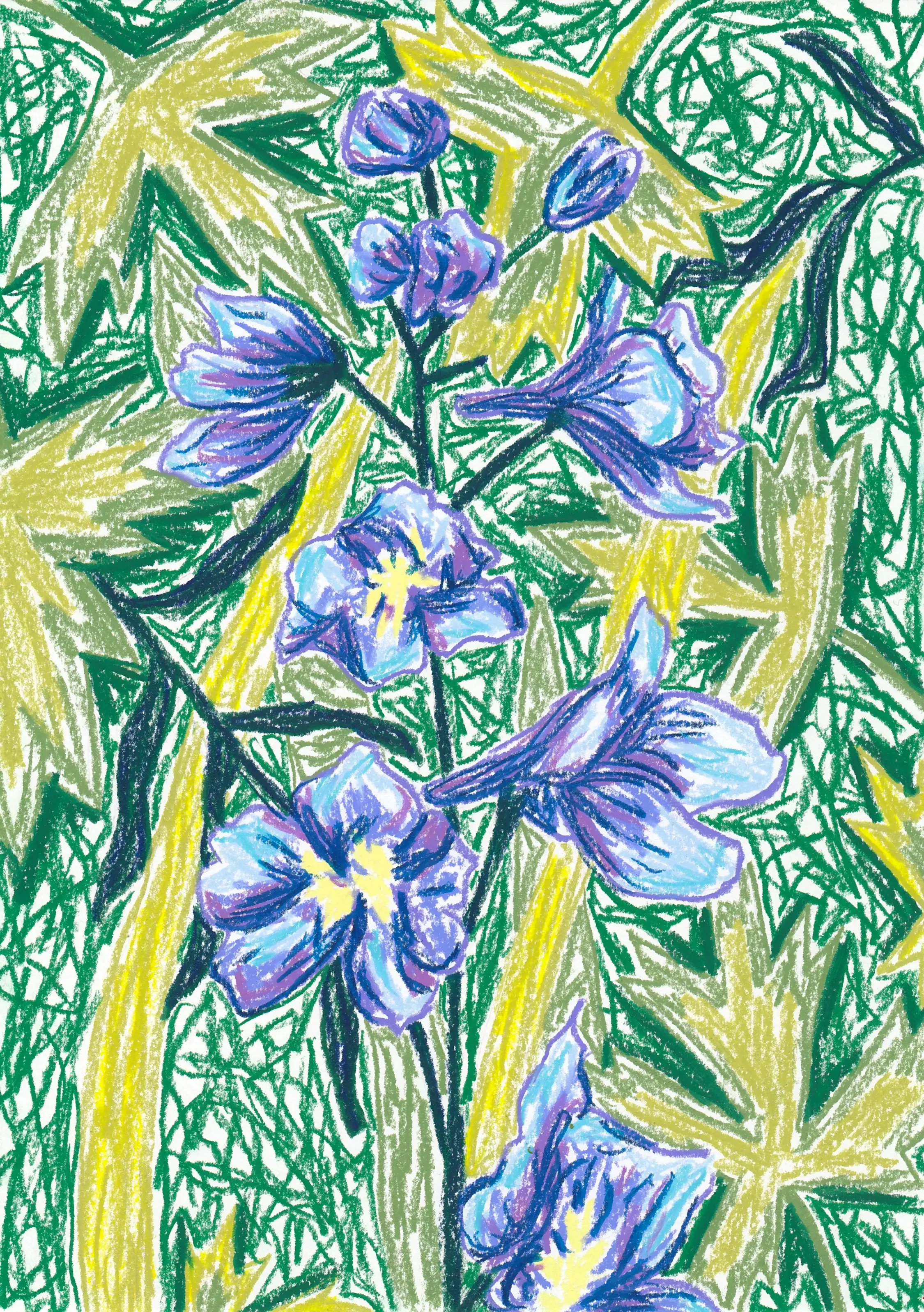 Blue Larkspur - Wax pastel