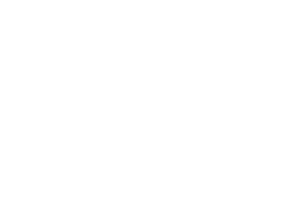 12.png