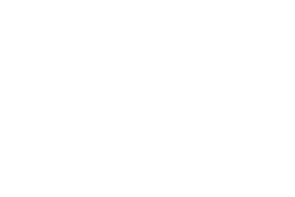 15.png