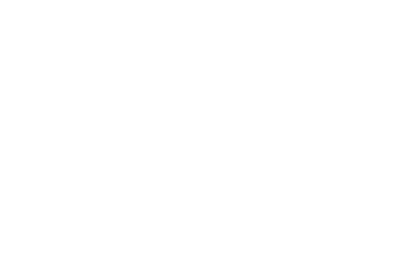 13.png