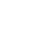 Customized Strategy Development