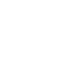 Digital Implementation