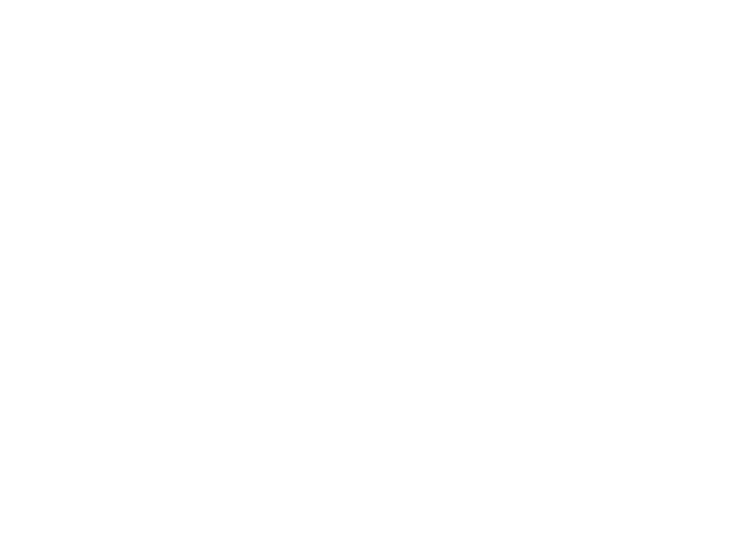 Highvillage club showteam turnverein hochdorf 1889 e.V.