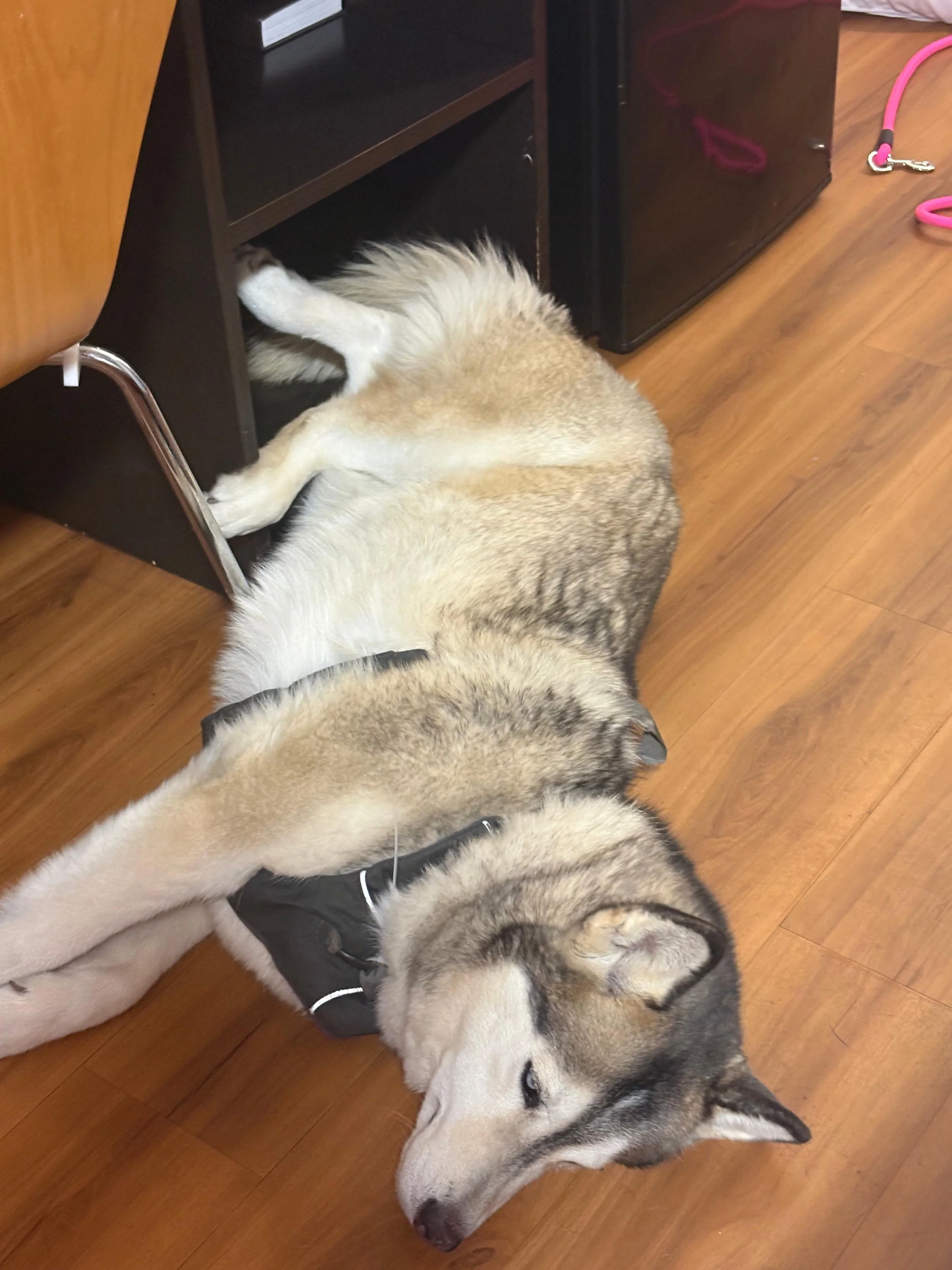 At the hotel room with the driver.jpeg