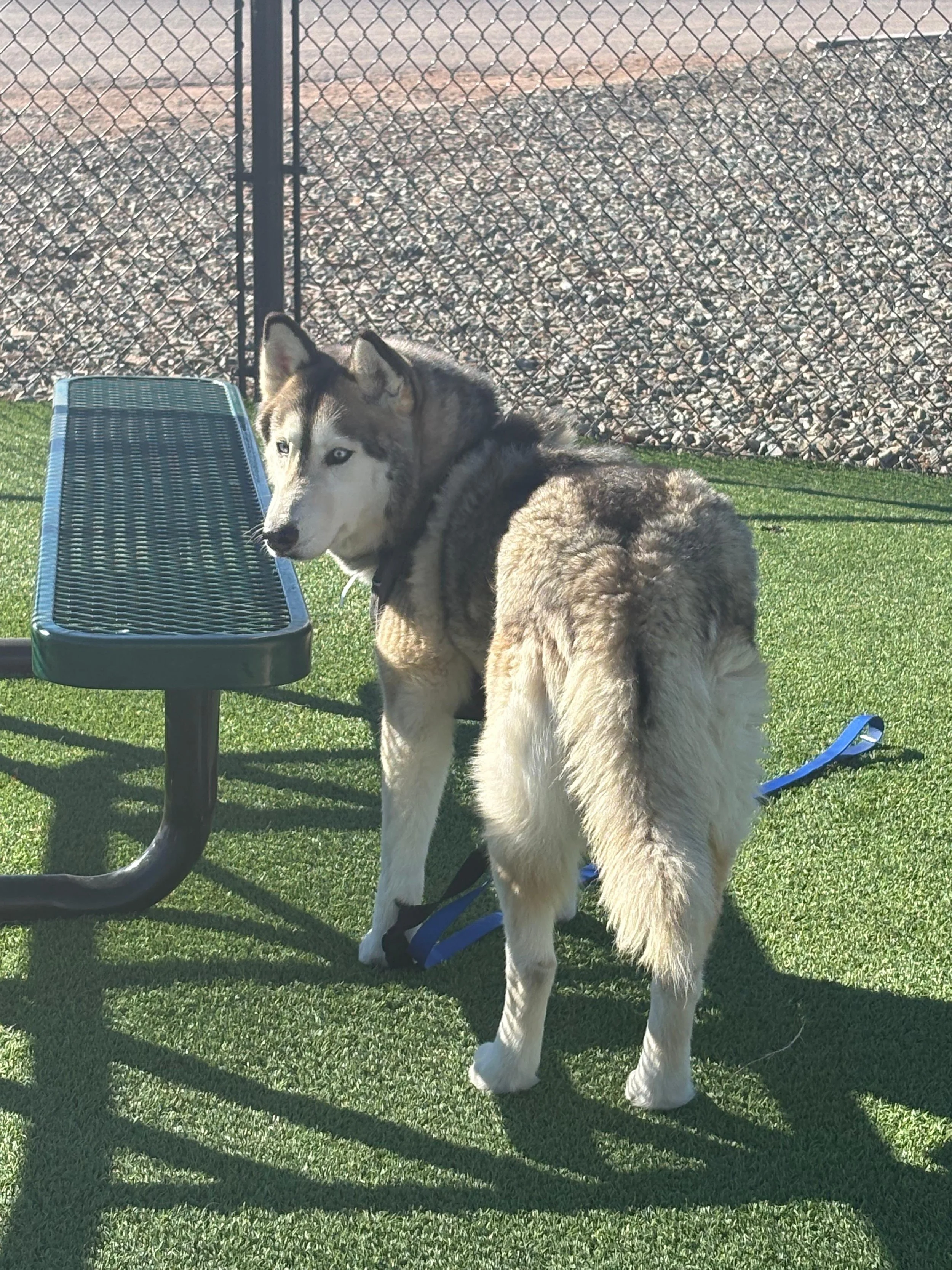 Break during the trip to MA.jpeg