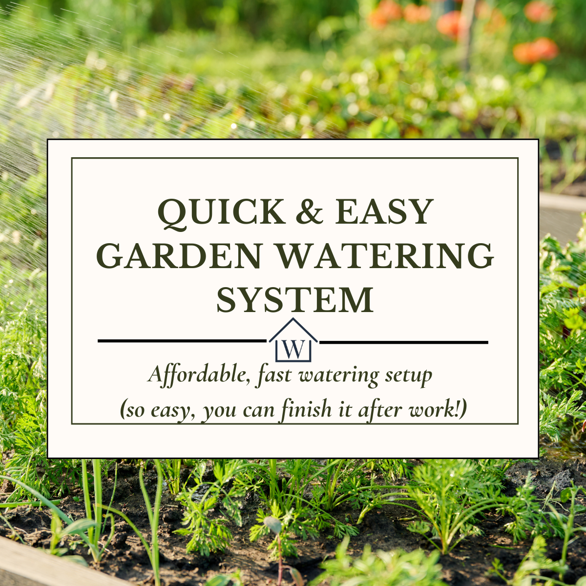 Quick &amp; Affordable Garden Bed Watering Options: (Step-by-Step Guide)