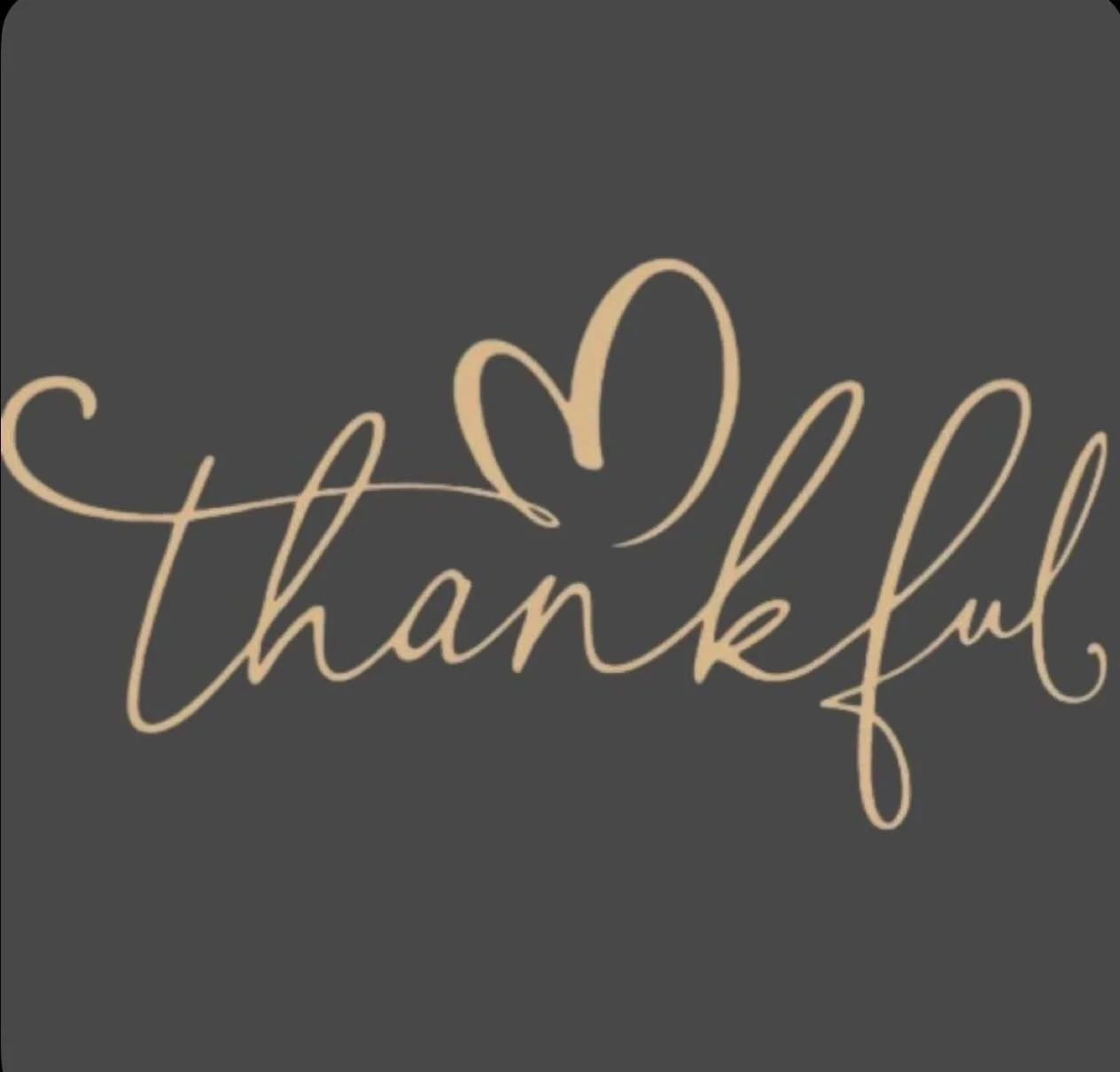 I&rsquo;m not here without all of you, so very thankful for all of you!🤍 Happy Thanksgiving!🦃🤍🍁