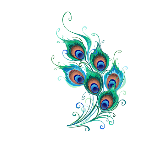 Illustration of multiple peacock feathers with vibrant blue, green, and brown colors.