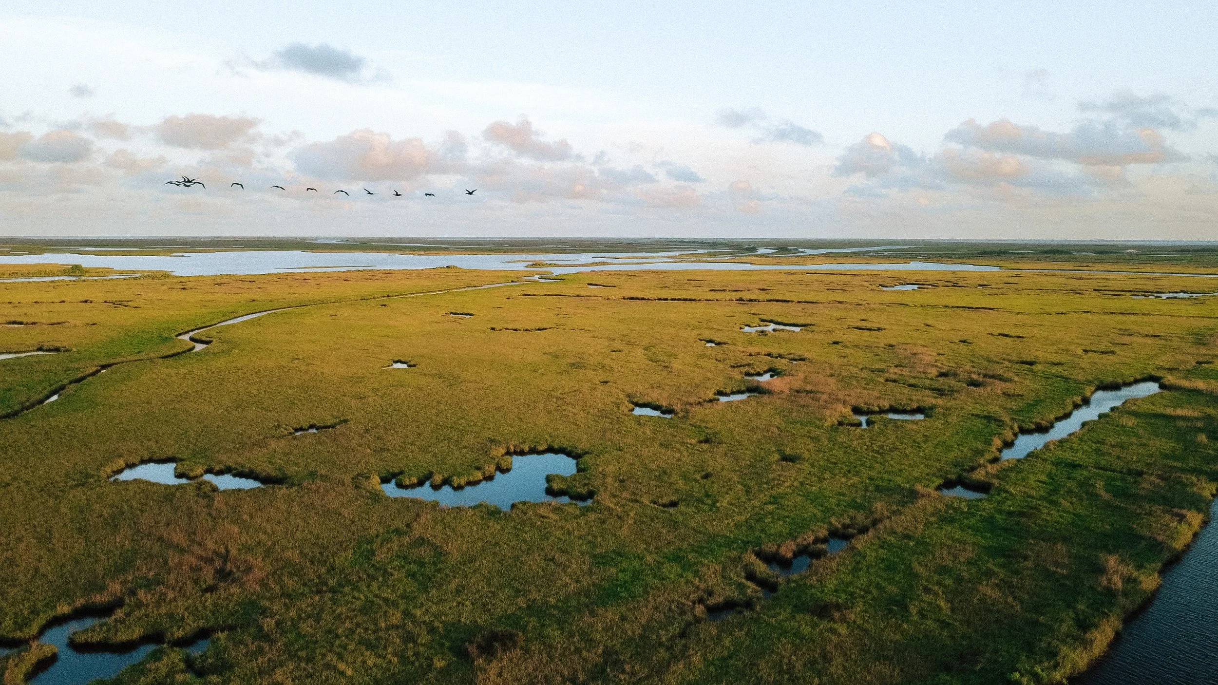 DJI_0178.jpg