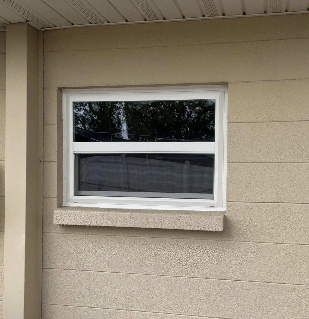 Window 12.jpg