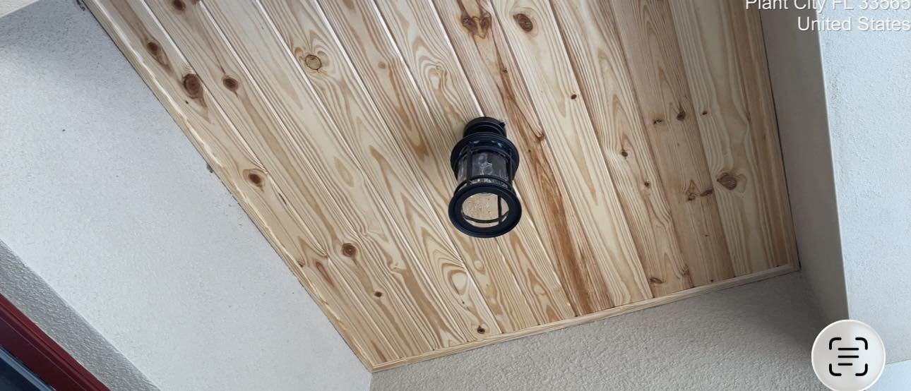 Ceiling 2.jpg