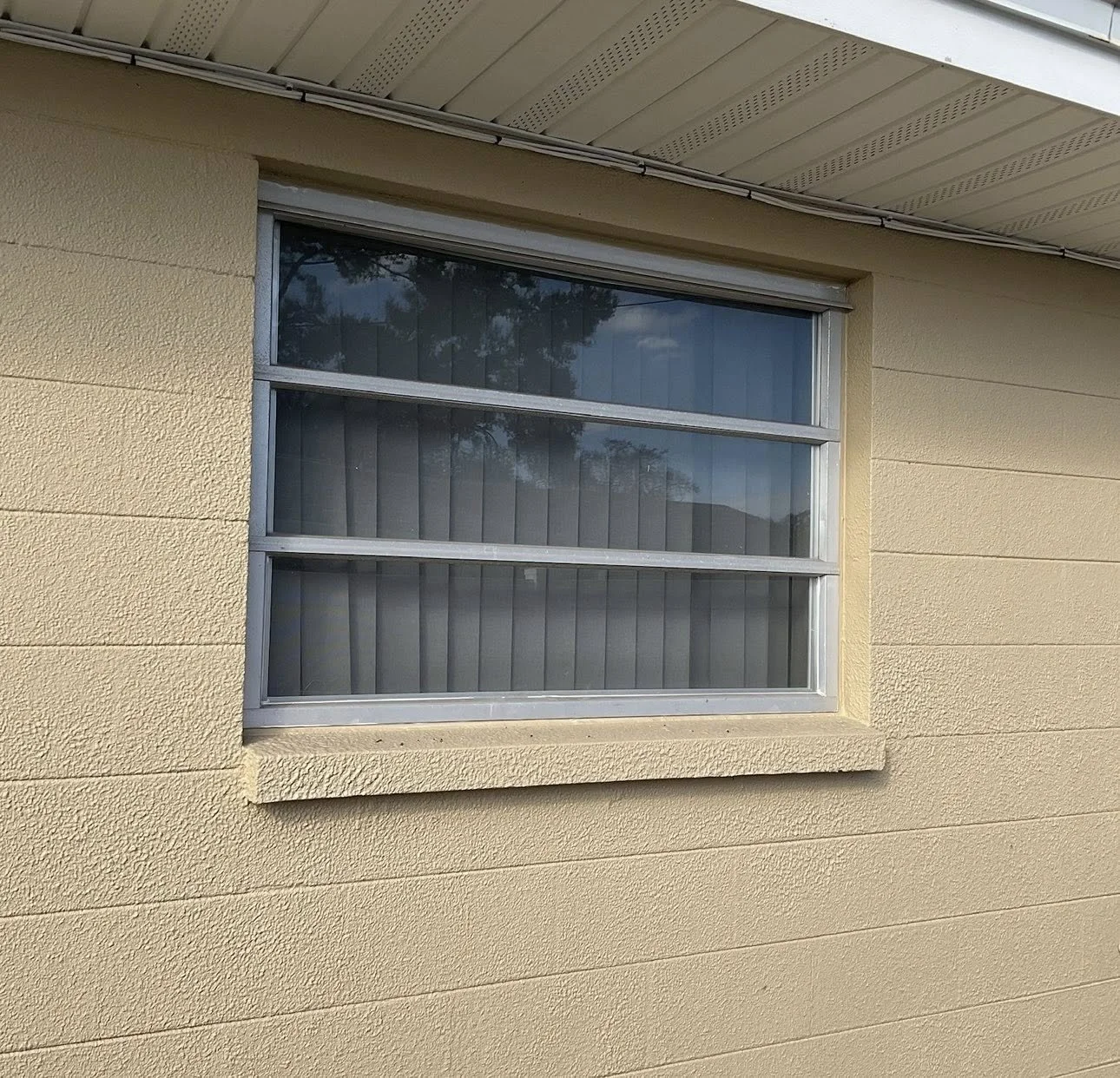 Window 13.jpg