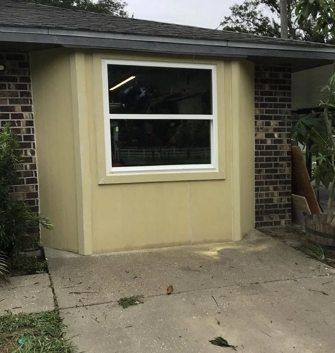 Window 9.jpg