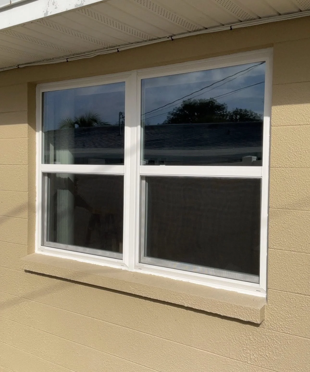 Window 16.jpg