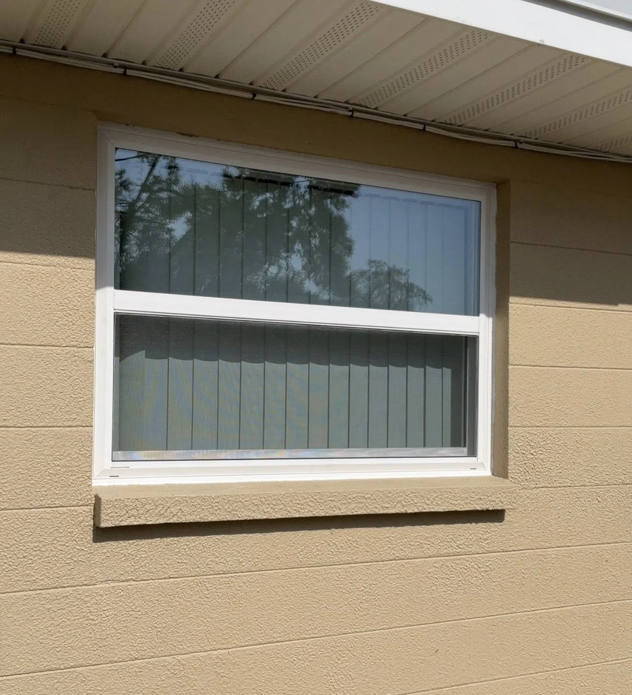Window 14.jpg