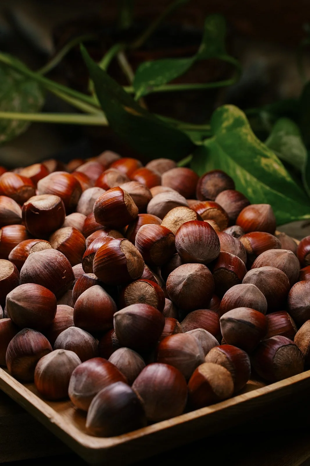 Noix de cajou dans une boîte en bois avec des feuilles vertes en arrière-plan.