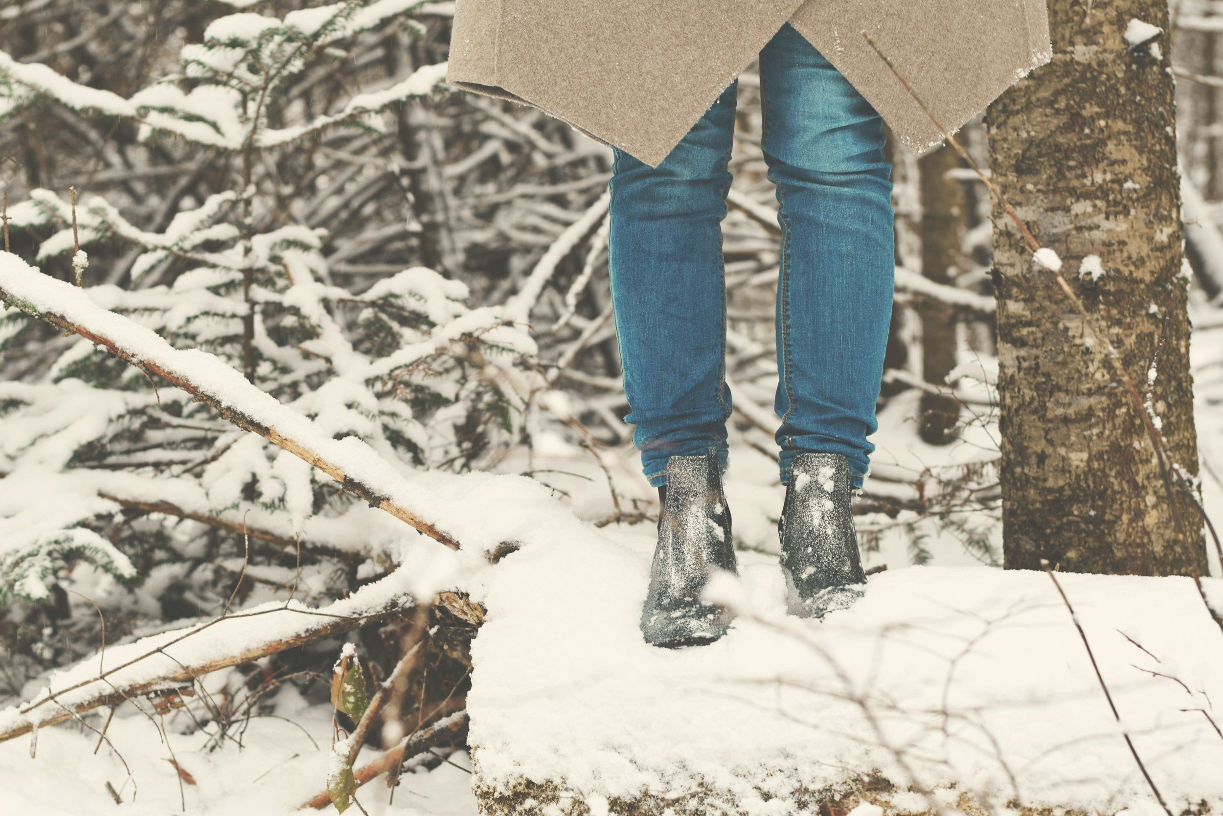 Creating Calm in a Chaotic World