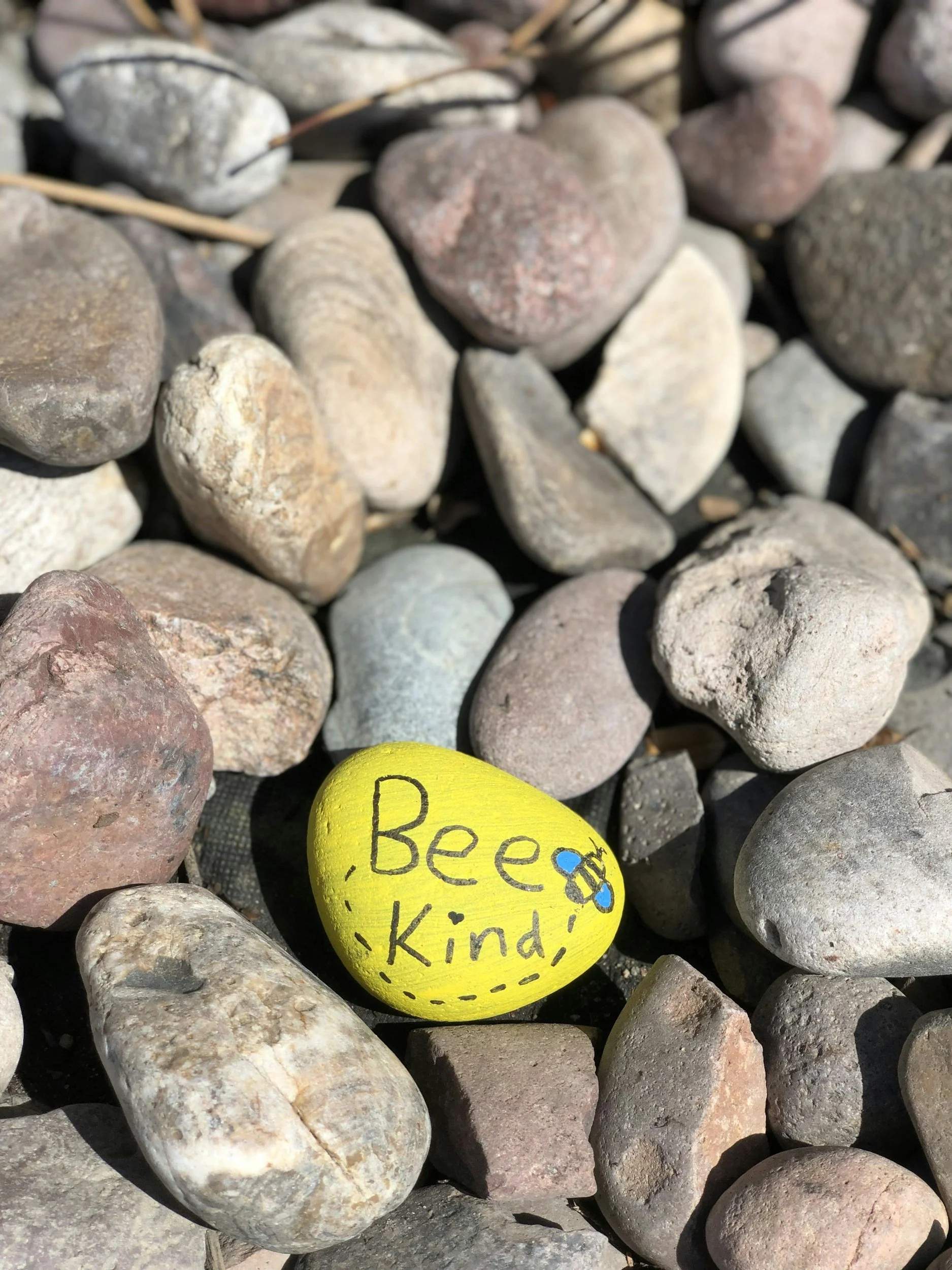 Strength in Being Kind