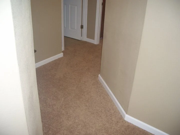 1239088453040.jpg