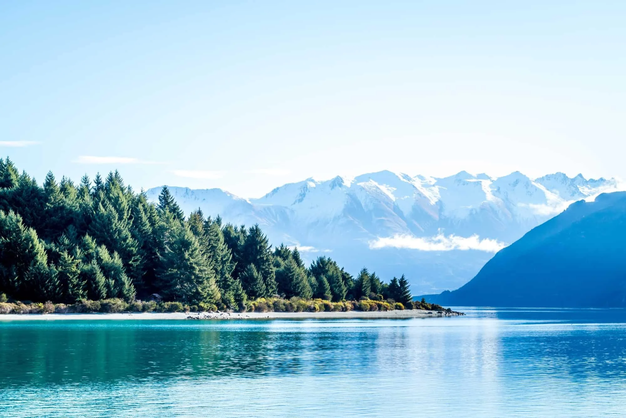 How To Address Anxiety and Hypertension From A Holistic Perspective