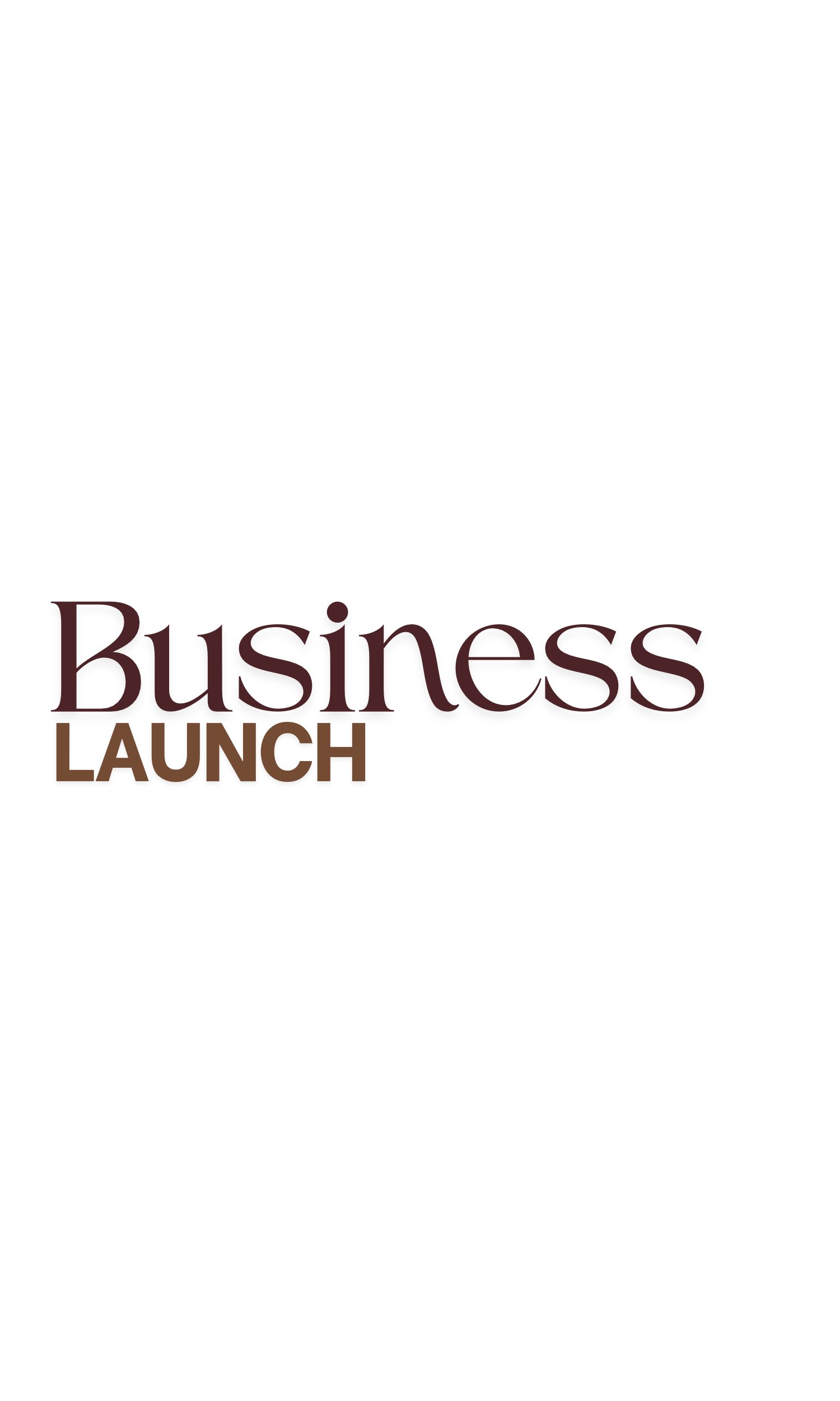 Business Launch Support