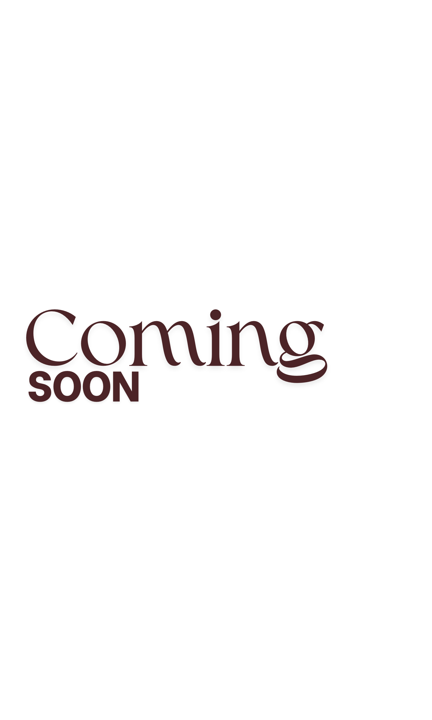 Ongoing Bookkeeping Setup & Consulting