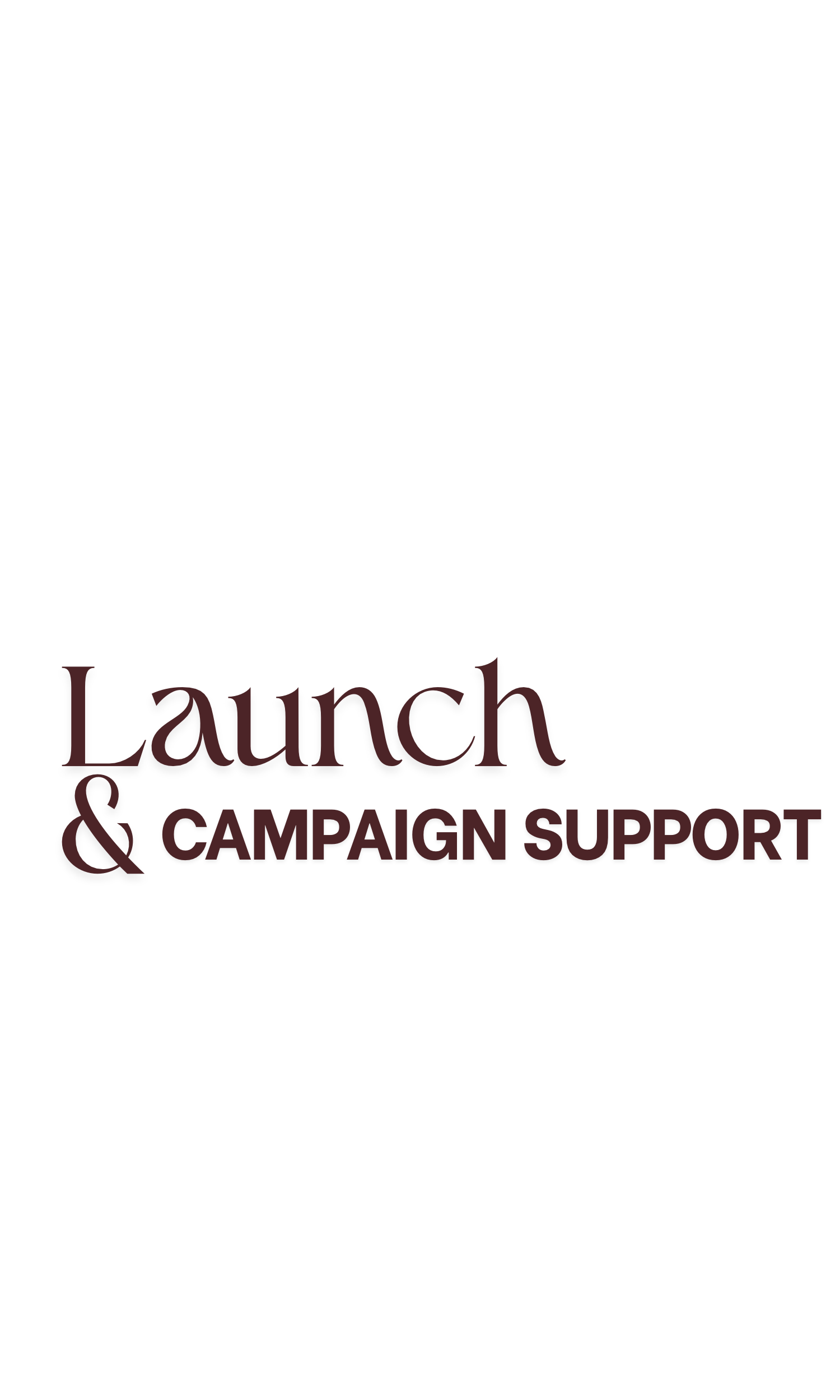 Launch & Campaign Support