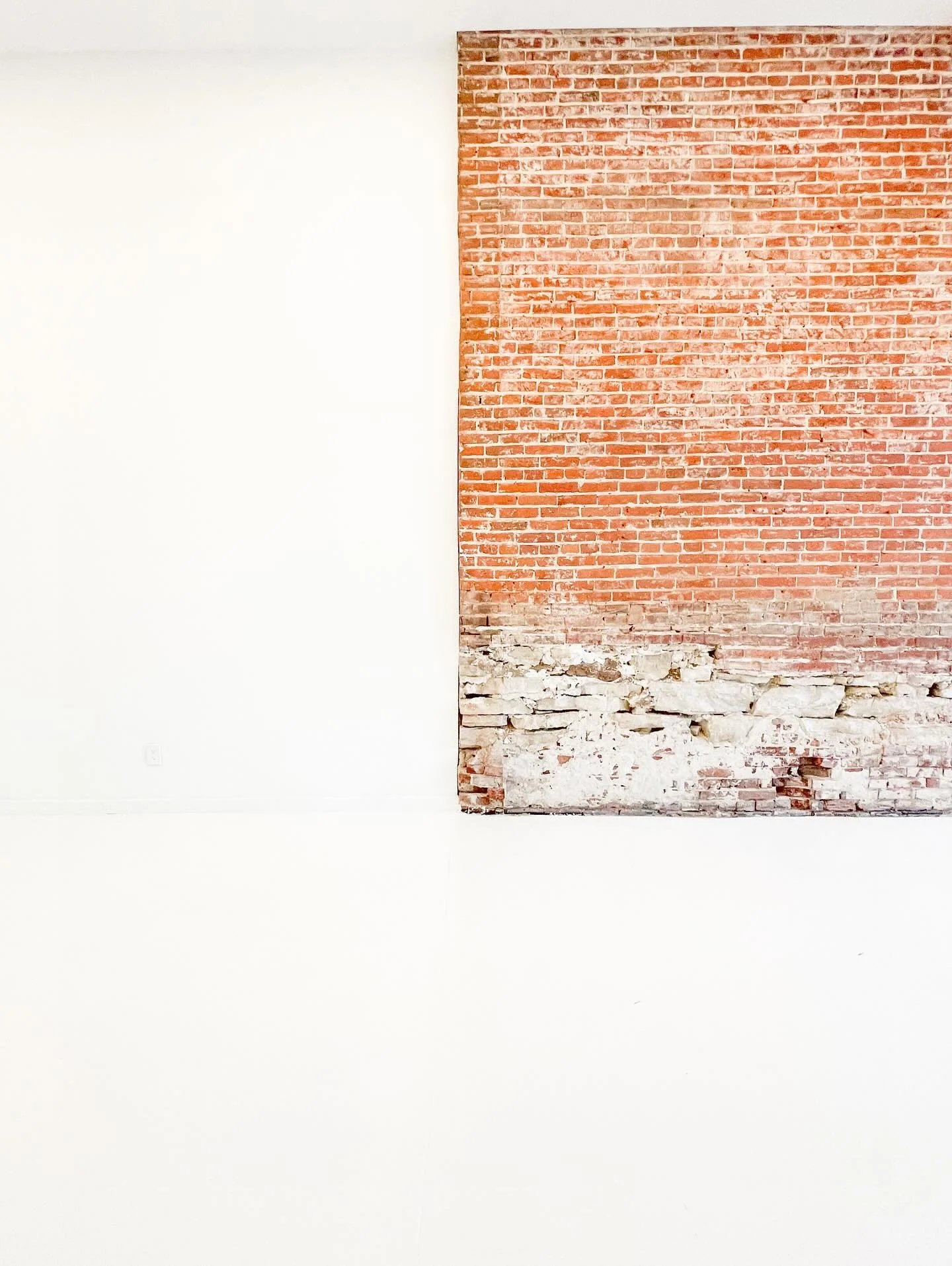 Are you a white background person or a brick background person? 👀
Both backdrops bring their own unique vibe, clean + modern or textured + bold! Each one gives your photos that bright, styled look we all love. Which one are you booking next? 📸✨

#W