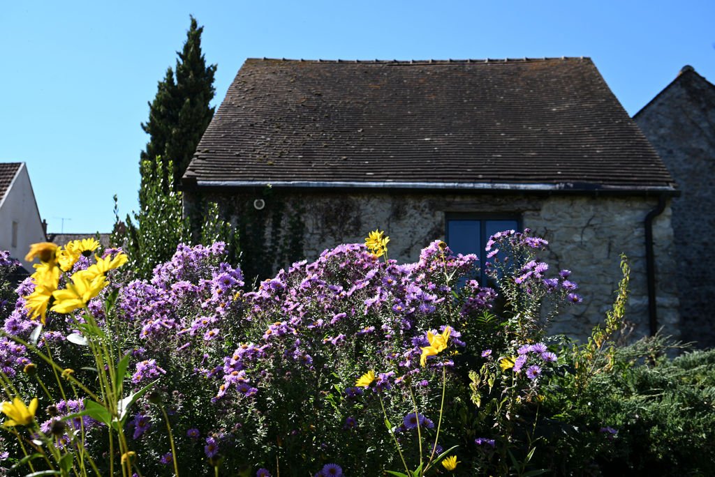 summer-of-the-senses-retreat-saclas-france (4).jpg