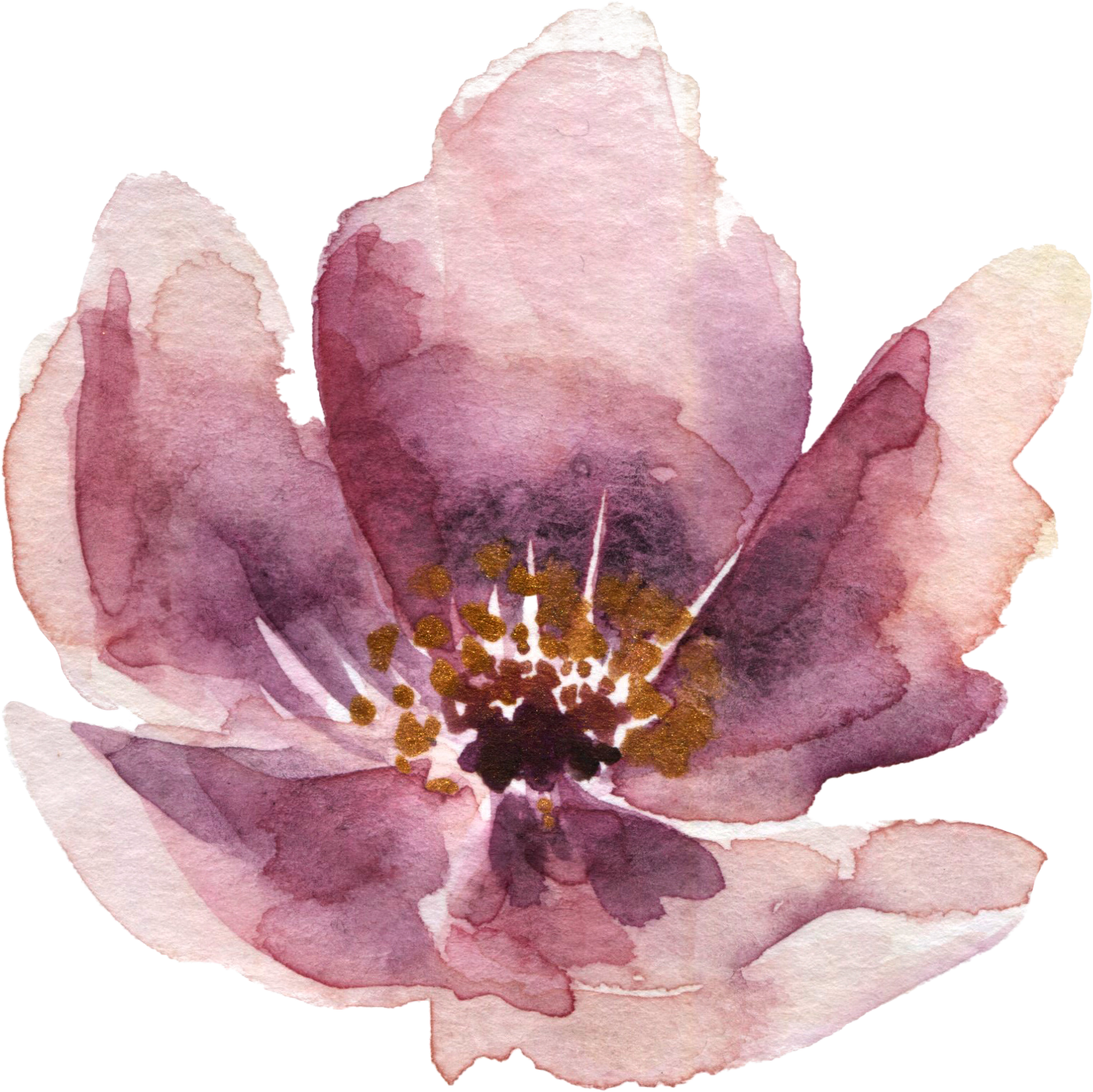 A watercolor painting of a pink and purple flower with yellow stamens.